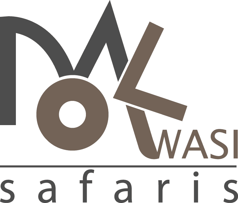 default-logo